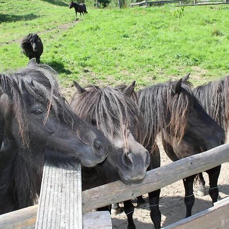 Rezydencja Lesny Dwor Piwniczna-Zdroj Esterno foto