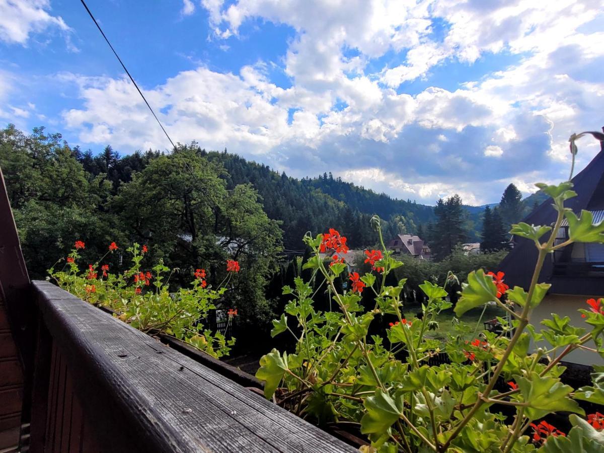 Rezydencja Lesny Dwor Piwniczna-Zdroj Esterno foto