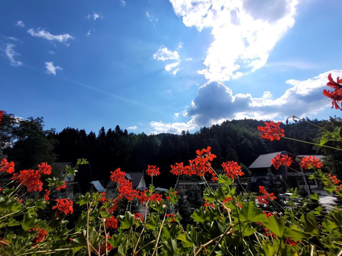 Rezydencja Lesny Dwor Piwniczna-Zdroj Esterno foto