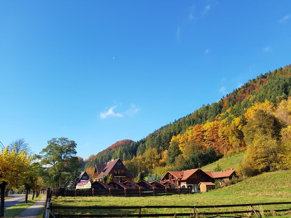 Rezydencja Lesny Dwor Piwniczna-Zdroj Esterno foto